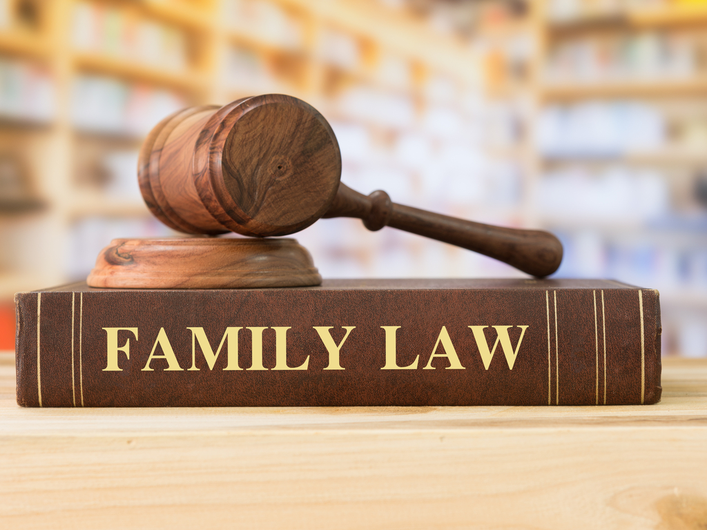 Family Law Book on nashville family lawyers