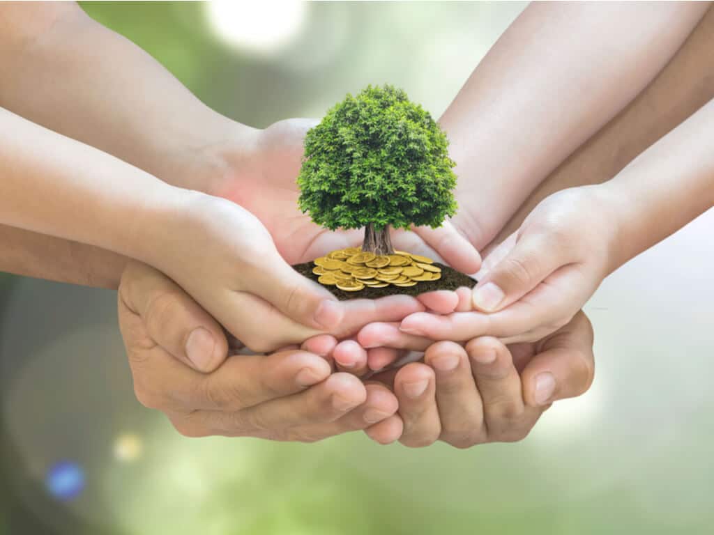 hands holding tree symbolizing family wealth